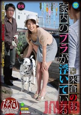 SPRD-715 Studio Takara Eizo The Wife's Tits are Showing a Little Bit - Beloved Dog Edition - Noa Yonekura