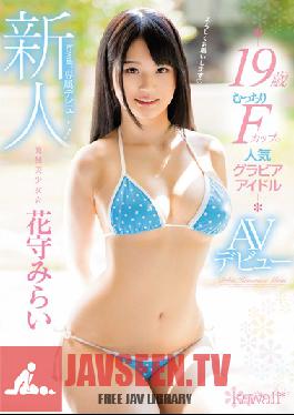 KAWD-827 Studio kawaii New Face! kawaii Exclusive Debut: Discovery Of A Beautiful Girl! Mirai Hanamori, 19, Is A Popular The Gravure Idol With Plumb F-Cup Breasts. This Is Her AV Debut.
