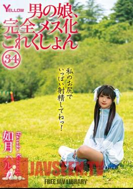 HERY-138 Man's Daughter, Complete Female Collection 34 Haruka Kisaragi