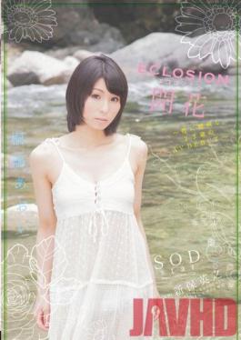 STAR-392 Studio SOD Create ECLOSION Full Bloom - 23 Year Old Sex-Addict's PORN DEBUT - Aoi Kirishima