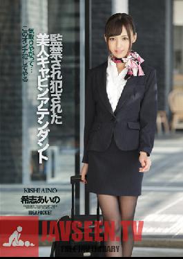IPZ-522 Studio Idea Pocket A Hot Stewardess's Confinement & love Aino Kishi
