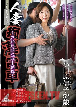IRO-15 Studio Center Village Married Housewife Molested on the Train  50 Something Mother Gets Felt Up  Nobuko Odawara