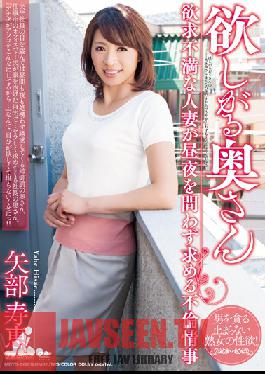 MDYD-862 Studio Tameike Goro Willing Unsatisfied Married Woman Looking For Adultery Love Affairs Day And Night Hisae Yabe