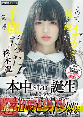 HMN-049 This Kid Was A Fawn (sensitive) With The Skin Of A Wolf (lewd)! Honnaka Star Birth All Day Super Pursuit Piston Cum Shot Sexual Intercourse That Collapses A Sensitive Beautiful Girl Like A Newborn Fawn Kaede Hiiragi
