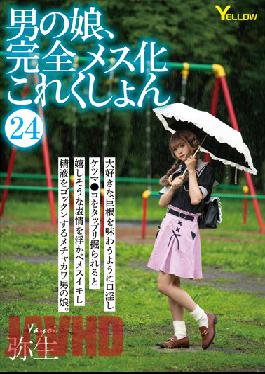 HERY-127 Man's Daughter,Complete Female Collection 24 Yayoi