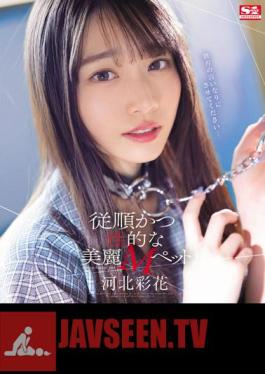 SSIS-839 Obedient And Sexual Beautiful M Pet Ayaka Kawakita (Blu-ray Disc)