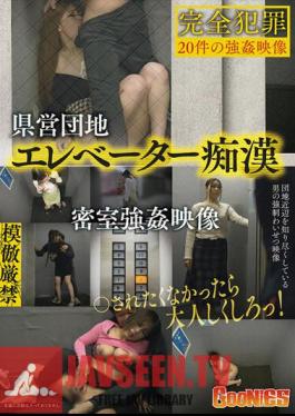 GNS-071 Prefectural Housing Complex Elevator Molester Behind Closed Doors Video