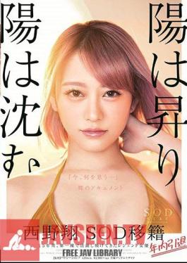 Mosaic STARS-113 The Sun Rises And The Sun Sinks Sho Sho Nishino Resigned Within The Year Retirement Within The Year 15 Years, Legendary Actress Who Has Been Active On The Front Line What Do You Think Now ... Naked Document